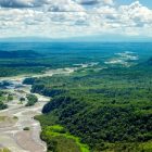 アマゾンの熱帯雨林が目の前に。VRで森林保護に取り組むSCジョンソン