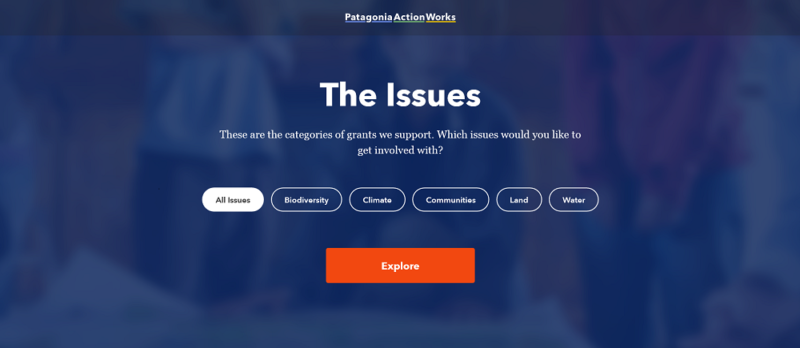 Patagonia Action Works2