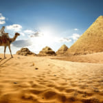 エジプトの砂漠にそびえ立つ、世界最大級のソーラーファーム width=