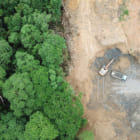 森林破壊を、衛星監視でくい止める。世界最大のパーム油貿易会社の英断