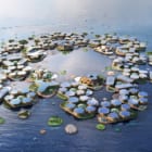 国連が注目する「海に浮かぶサステナブル都市」構想。沿岸都市が抱える人口集中と気候変動に挑む