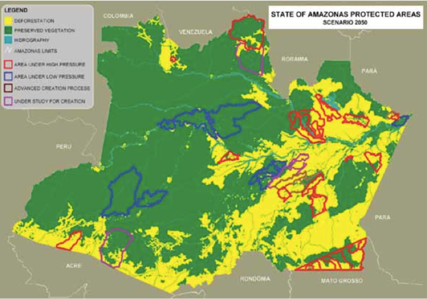 2050年には黄色い部分の森林が消滅する