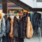 カリフォルニアが毛皮製品の製造・販売を禁止。アメリカの州で初