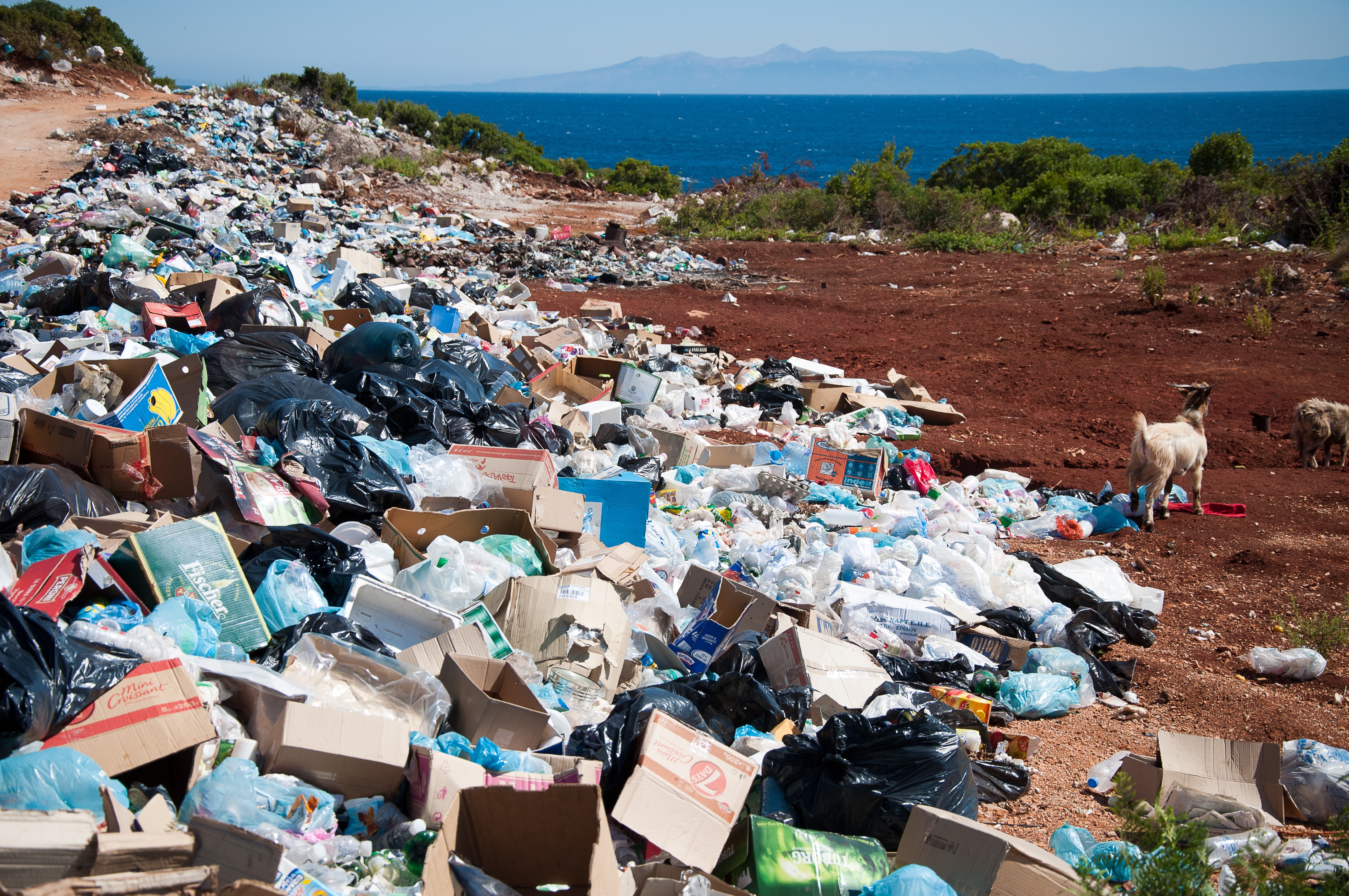 中国が22年までにプラスチック袋を使用禁止に プラスチック製品も規制開始 世界のソーシャルグッドなアイデアマガジン Ideas For Good