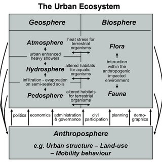 都市生態学説明