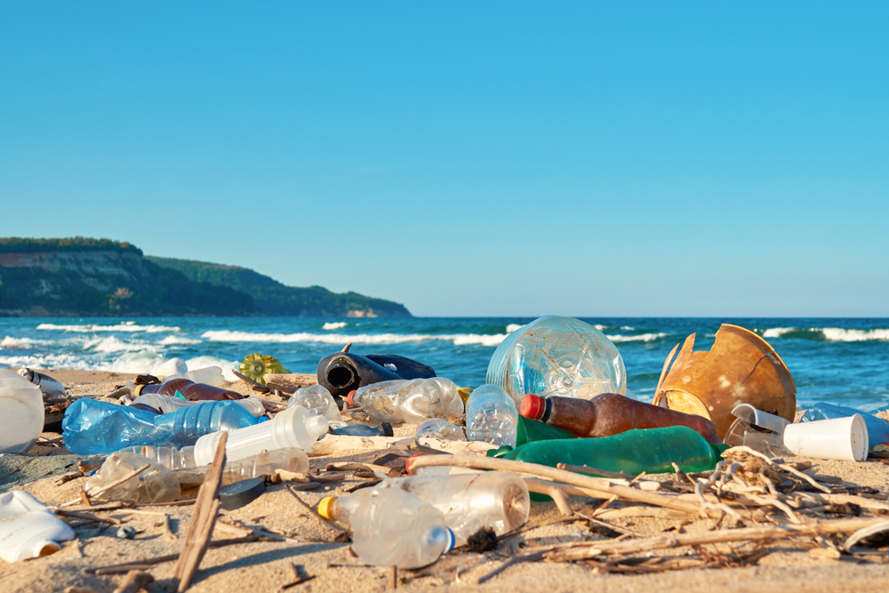 海洋プラスチック問題とは 数字と事実 原因 解決策 マイクロプラスチックの影響など 世界のソーシャルグッドなアイデアマガジン Ideas For Good