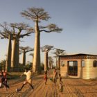 教育へのアクセス拡大を。3Dプリンターでつくる学校、マダガスカルに誕生