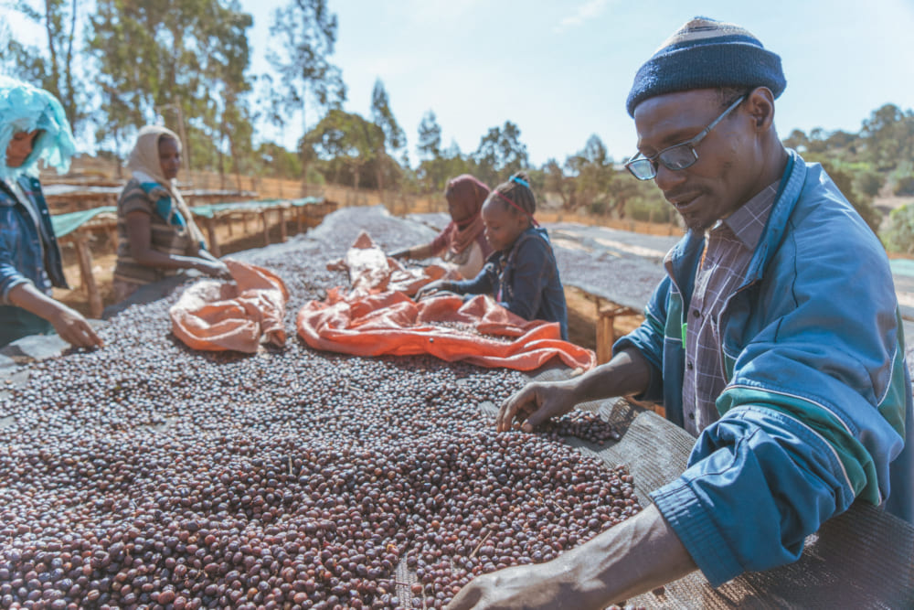 エチオピアのコーヒー生産者。実際に現地に足を運んで取材をする