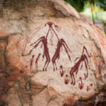 オーストラリア先住民の知恵が詰まった「自然のバーム」文化継承と自立の一助に width=