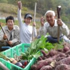 ほぼ100%地産地消。広島の『restaurant be』に学ぶ、小規模農家とレストランの関係性【FOOD MADE GOOD #9】