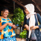 太陽光で動く冷蔵庫が、ナイジェリアの女性たちを救う理由