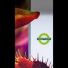 ロンドン地下鉄「グリーンパーク駅」が「グリーンプラネット駅」に。生物多様性を表現する、没入型の広告体験