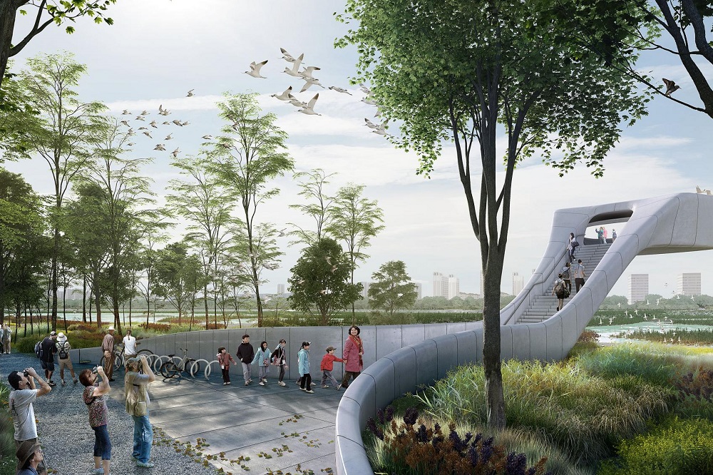 生態系を取り戻す。中国で建設が進む「渡り鳥のための空港」