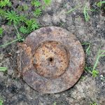 ネズミが地雷を駆逐する。においで危険を察知するHeroRAT width=