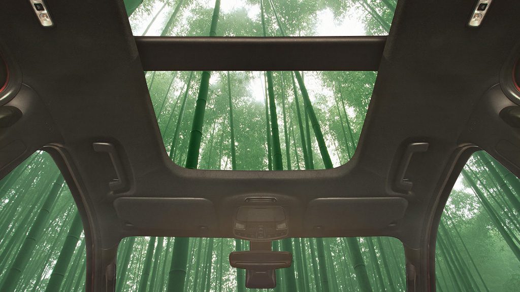車のインテリアに竹素材を使用へ。フォードの持続可能なイノベーション