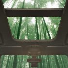車のインテリアに竹素材を使用へ。フォードの持続可能なイノベーション