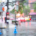 雨の道に彩りを。水中の生き物が浮かび上がるProject Monsoon