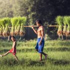 インドネシアの農業問題を救う、ふたつのスタートアップ
