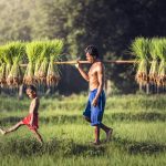 インドネシアの農業問題を救う、ふたつのスタートアップ width=