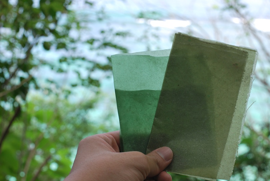 インドネシア発、海藻でできた食べられる包装紙「Evoware」