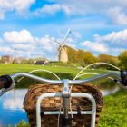 【まとめ】自然と共存する国、オランダのサステナブルなアイデア7選