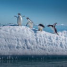 「世界で最もクールな大陸」を守ろう。ニュージーランド航空の機内ビデオで考える環境問題