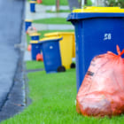 廃棄物を出さない街へ。ニュージーランド最大の都市が「ゼロ・ウェイスト」に動きだす