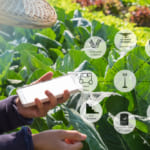 AgriTech（アグリテック）とは・意味 width=