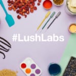 どんな肌色にも合う化粧品を。LUSHが開発する固形ファンデーション width=