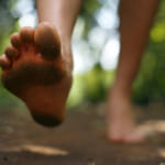 裸足で歩こう。健康と自然の尊さを教えてくれるラトビアの小道 width=