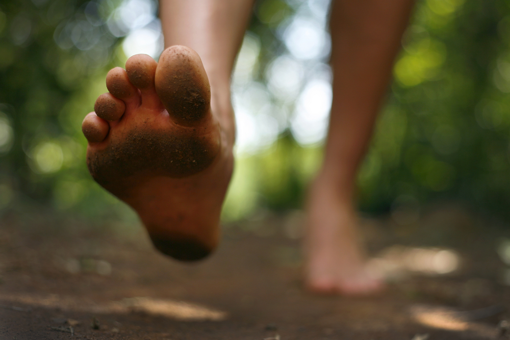 自然を感じ、健康になる。靴を履いて歩いてはいけないラトビアの小道
