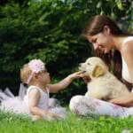 ペットショップが保護犬と里親の出会いの場に変わる。豪ヴィクトリア州の英断 width=