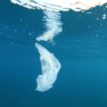 海洋汚染をなくしたい。チリの起業家が開発した、水に溶けるプラスチック袋「SoluBag」 width=