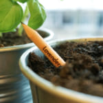 ぐんぐん育て。デンマーク発のサステナビリティを表現する、植えられる鉛筆 width=