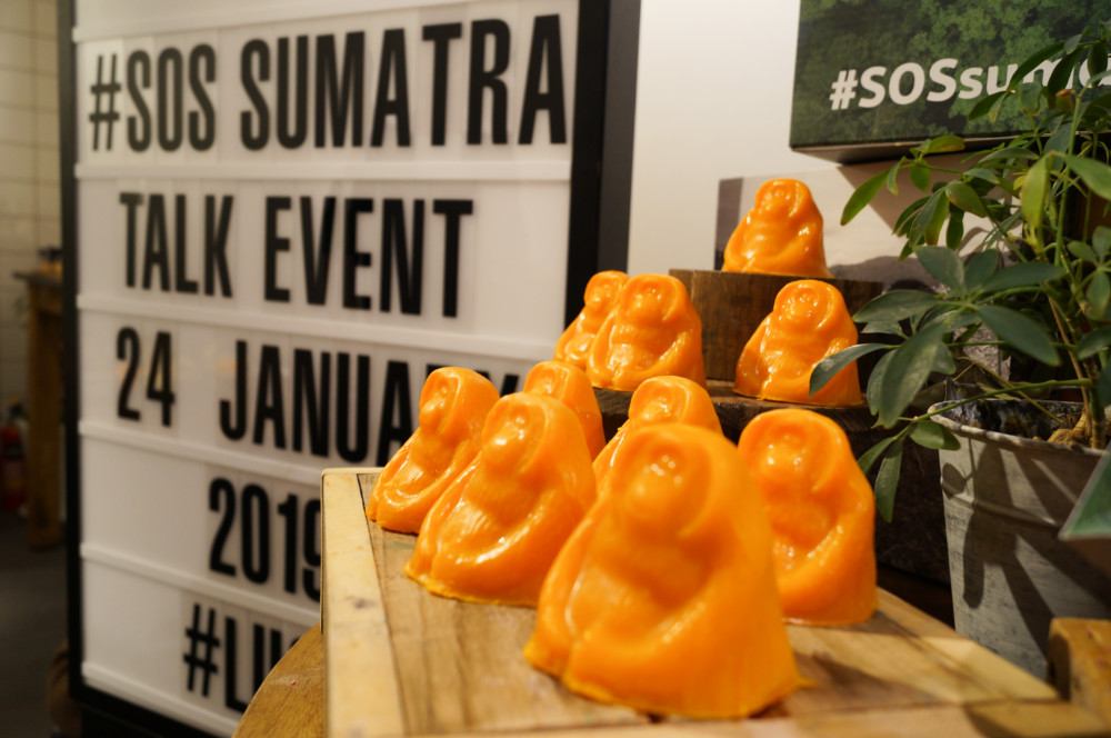 その「油」は大丈夫？LUSHと考える、絶滅危機のオランウータンを救うエシカル消費