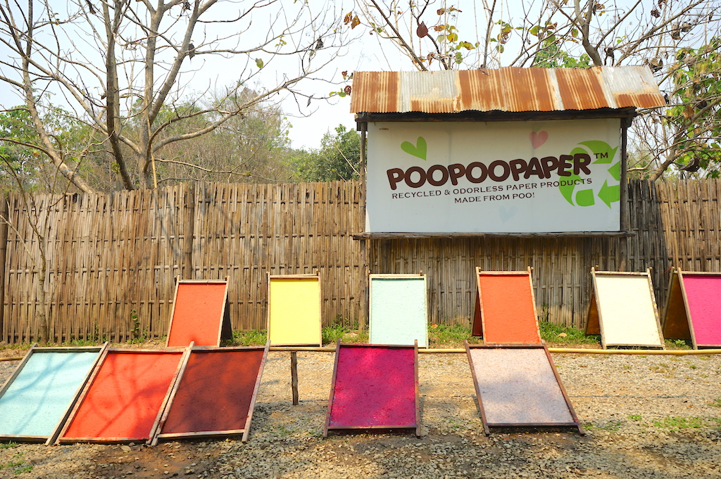 象のフンを原料とした紙作りを体験できる「Elephant Poopoopaper Park」