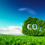 地球の時間を巻き戻す？オーストラリアの大学が、CO2を石炭に変えて地中に戻す技術を開発 width=