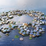 国連が注目する「海に浮かぶサステナブル都市」構想。沿岸都市が抱える人口集中と気候変動に挑む width=