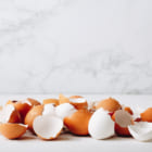 「卵の殻」でエネルギーを貯蔵。ドイツで研究が進むエコな新技術