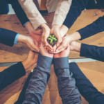 Social Good Companies width=