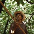 マダガスカルとアマゾンの森のなかで共生する農業「アグロフォレストリー」がグッドな二つの理由