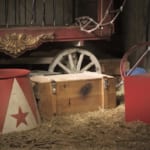 エンタメにも動物福祉を。ドイツのサーカス団、生きた動物の代わりに3Dホログラムで演出 width=
