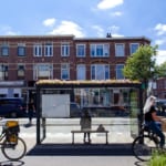 オランダのユトレヒト、バス停を「ハチ停」に。生物多様性をまもる緑の屋根 width=