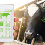 【2022年最新版】Agritech（アグリテック）に取り組む企業・事例まとめ width=