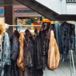 カリフォルニアが毛皮製品の製造・販売を禁止。アメリカの州で初 width=