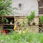インドネシアのゴミ問題を解決する。ソーシャルスタートアップ「Waste4Change」の挑戦 width=