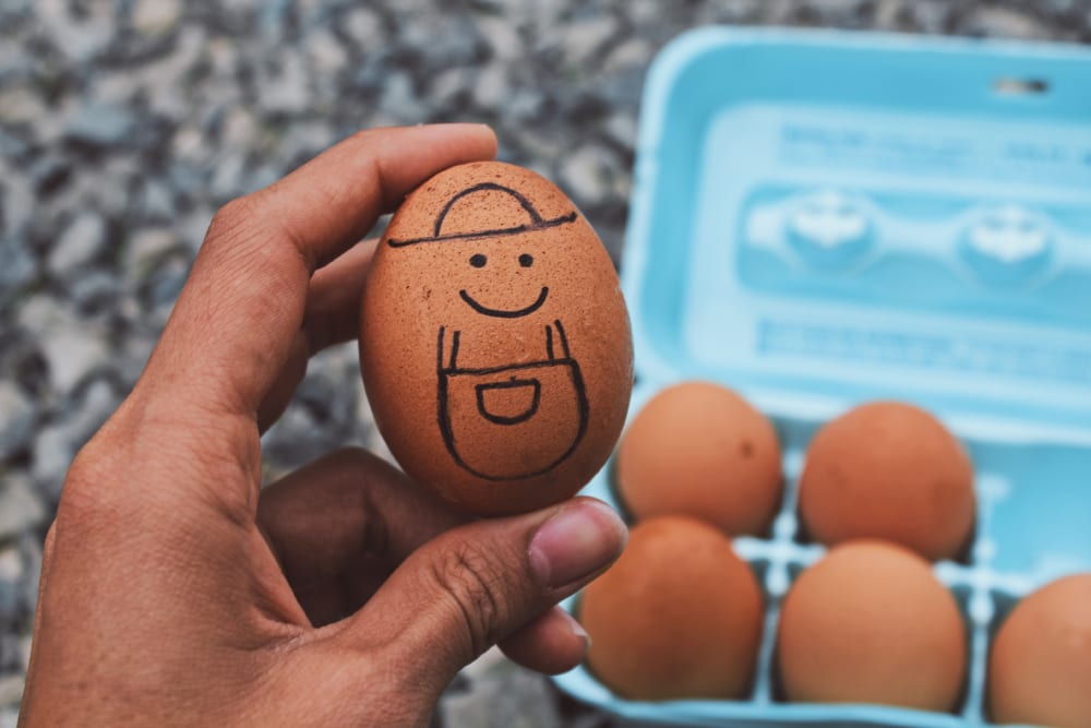 マイ卵パック」を持とう。アメリカの養鶏農家が作った、リユースできる卵パック | 世界のソーシャルグッドなアイデアマガジン | IDEAS FOR  GOOD