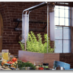 新鮮な野菜を自宅で簡単栽培。MITのエンジニアが開発したスマートガーデン「The Herb Garden」 width=
