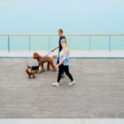 愛犬との散歩を快適でスマートに。オールインワンの犬用首輪・リード「GoGoLeash」