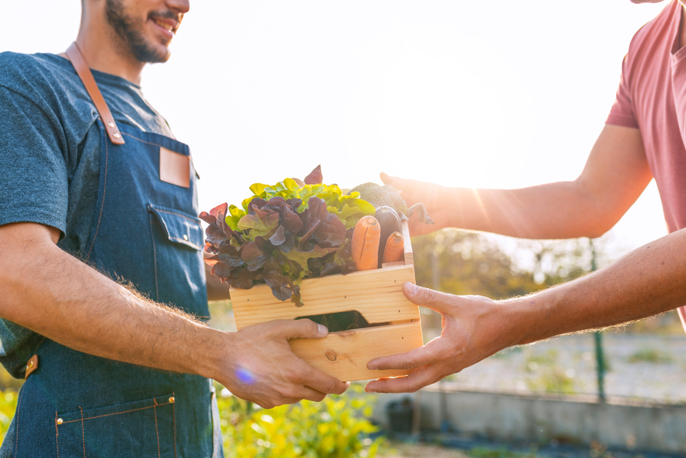 farmer and consumer